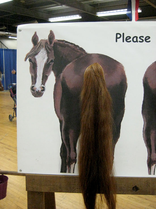 braid my tail please