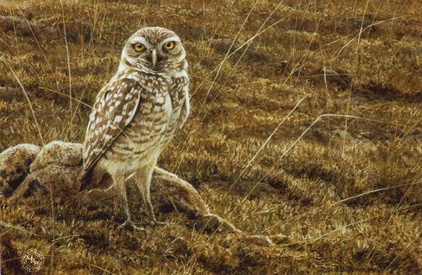 robert bateman