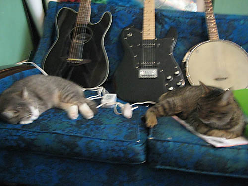 cats&guitars