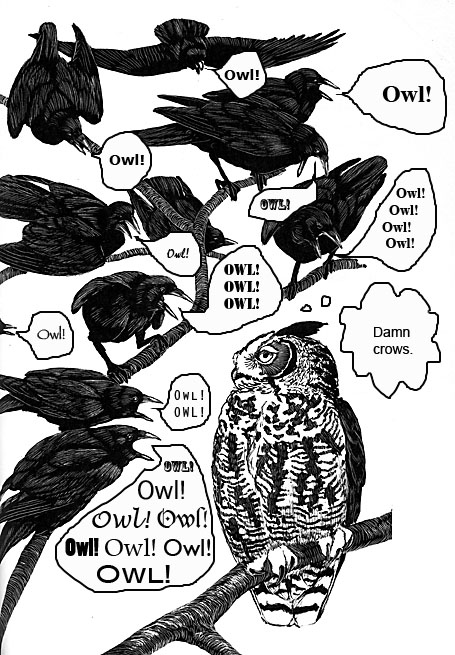 owl&crows_SM