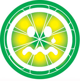 death of limewire