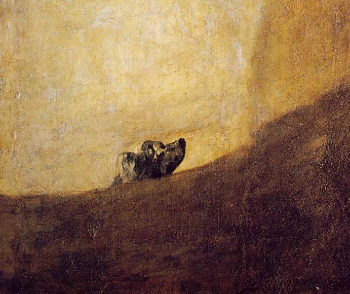 goya's dog