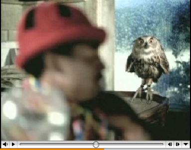 outkast owl 2