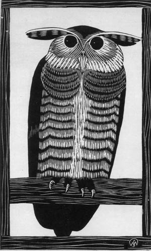 owl postcard