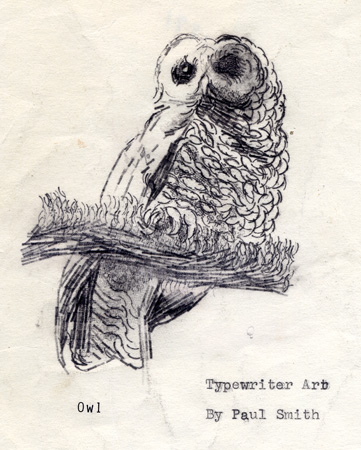 owl typewriter