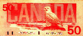owl $50CDN