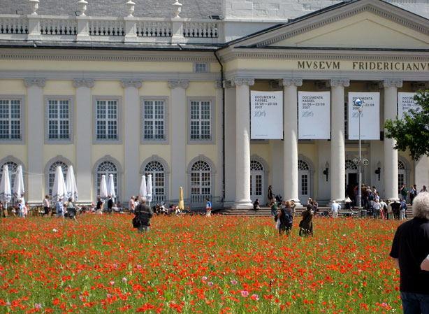 poppies