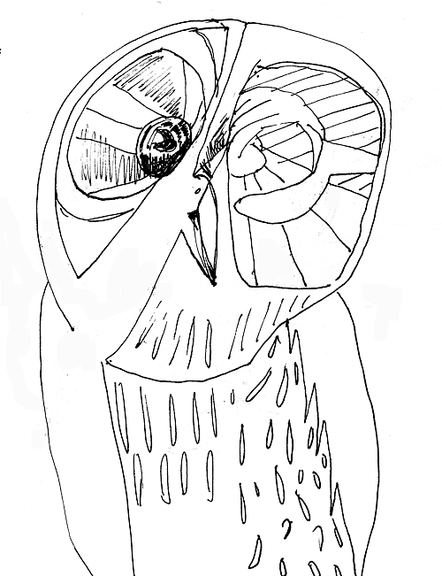 brain owl