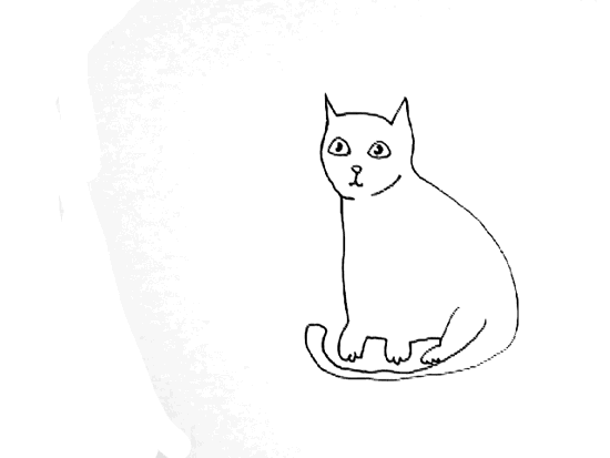 schroedinger's cat