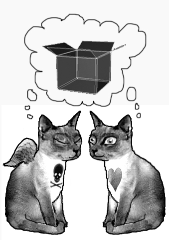 kitties and a box