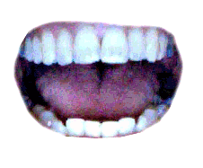 teeth8