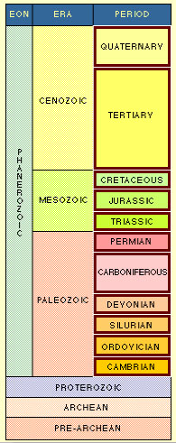 timeline