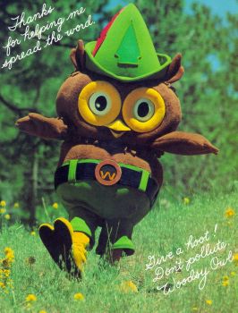 owl woodsy costume